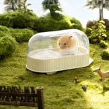 砂浴び 小動物 ミオファン | livingut | 詳細画像10 