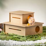 ケージ ハムスター ミオファン | livingut | 詳細画像8 