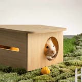 ケージ ハムスター ミオファン | livingut | 詳細画像9 