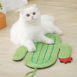 爪とぎ 猫 MewooFun | livingut | 詳細画像9