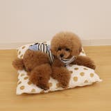 インナーカバー クッション ペット | livingut | 詳細画像4