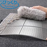 フィルタースポンジ びっくりフレッシュ フィルター掃除 | livingut | 詳細画像1