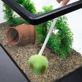 スポンジ びっくり水槽クリーナー 水槽 | livingut | 詳細画像4