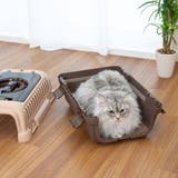 ペットマット おくだけ吸着キャリー用マット 犬 | livingut | 詳細画像9