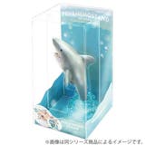 ペン&メモスタンド ジンベイザメ ペン | livingut | 詳細画像6