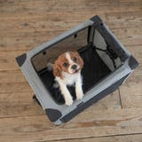 ペットキャリー 犬 ペットクレートワンタッチ | livingut | 詳細画像16