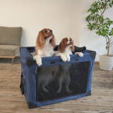 ペットキャリー 犬 ペットクレートワンタッチ | livingut | 詳細画像18