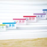 収納 リビガク ポイ分けBOXファイル | livingut | 詳細画像5 