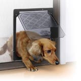 網戸専用 犬猫出入口 小型犬用 | livingut | 詳細画像1 