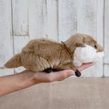 ぬいぐるみ potte カワウソ | livingut | 詳細画像5