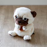 ぬいぐるみ potte パグ | livingut | 詳細画像9 