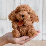 ぬいぐるみ potte プードル | livingut | 詳細画像6 