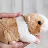 ぬいぐるみ potte モルモット | livingut | 詳細画像5