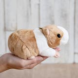 ぬいぐるみ potte モルモット | livingut | 詳細画像6