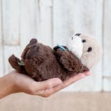 ぬいぐるみ potte ラッコ | livingut | 詳細画像7 