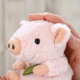 ぬいぐるみ potte ブタ | livingut | 詳細画像5