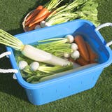 タライ 36L 角型タブ | livingut | 詳細画像7 