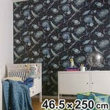 KABEDECOステッカー 壁紙シール スタープラネット | livingut | 詳細画像1 