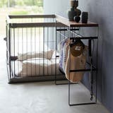 山崎実業 tower ペットコートハンガーラック | livingut | 詳細画像15