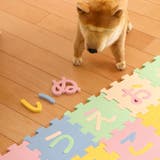 ジョイントマット 15×15cm ひらがなパズルマット | livingut | 詳細画像12