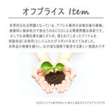【アウトレット】アンニュイカラーシャツ | CLOTHY | 詳細画像2