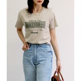 ベージュ(MATTER) | 【コットン100％】シルケット加工カレッジロゴTシャツ | CLOTHY