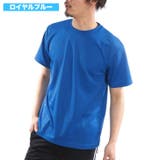 ロイヤルブルー | GLIMMER グリマー Tシャツ | ローコス
