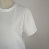 Tシャツ カットソー 半袖 | LTL | 詳細画像33 