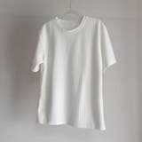 Tシャツ カットソー 半袖 | LTL | 詳細画像44 