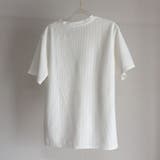 Tシャツ カットソー 半袖 | LTL | 詳細画像45 