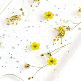 ドライフラワーiPhoneケース【iPhone12・iPhone12Pro】 | LUPIS | 詳細画像4 
