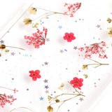 ドライフラワーiPhoneケース【iPhone12・iPhone12Pro】 | LUPIS | 詳細画像5 
