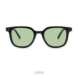 ブラック | ウェリントンカラーサングラス | LUPIS