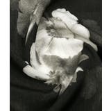 半袖シャツ オープンカラーシャツ メンズ | LUXSTYLE | 詳細画像12