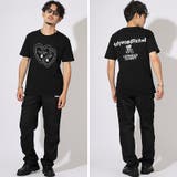 Hollywood rich & | LUXSTYLE | 詳細画像6