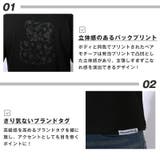 Hollywood rich & | LUXSTYLE | 詳細画像4