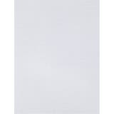 【白無地】形態安定 吸水速乾 レギュラーフィット レギュラーカラー長袖シャツ | TAKA-Q MEN | 詳細画像4 