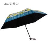 風景画・レモン柄 晴雨兼用 折畳み傘 | macocca | 詳細画像6