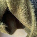 生地違いのボーダーが可愛いショート丈ニット ニット クロップド丈 | maison de LATIR | 詳細画像25