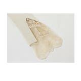 セーター タートルネック フリル | maison de LATIR | 詳細画像11