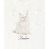 プチリボンネコTシャツ | MAJESTIC LEGON | 詳細画像26