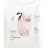 プチリボンネコTシャツ | MAJESTIC LEGON | 詳細画像27