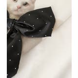 Lady catスウェット | MAJESTIC LEGON  | 詳細画像32 