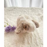 モチーフアニマルポーチ | MAJESTIC LEGON  | 詳細画像11 