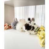 モチーフアニマルポーチ | MAJESTIC LEGON  | 詳細画像2 