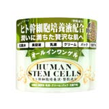 STオールインワンゲル 280g | KIREI FACTORY | 詳細画像1