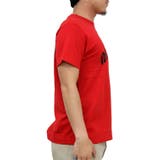 ASNA DISPEC tシャツ | Maqua-store | 詳細画像16