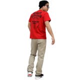 ASNA DISPEC tシャツ | Maqua-store | 詳細画像19