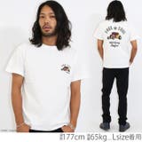 Tシャツ メンズ 半袖 | Maqua-store | 詳細画像8