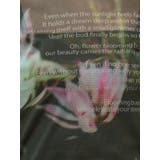 フォトプリントシアートップス | MURUA | 詳細画像35 